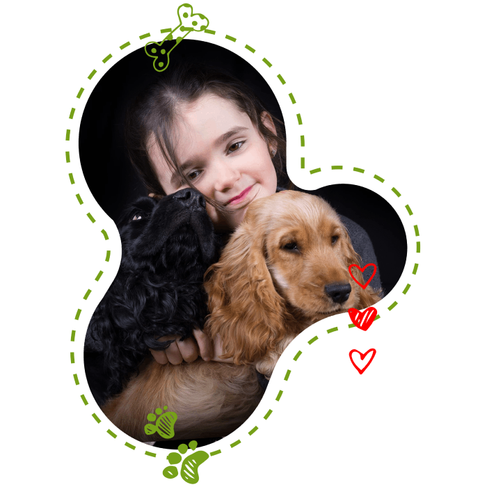 Centre Canin des Plaines Agenaise Centre Canin des Plaines Agenaise