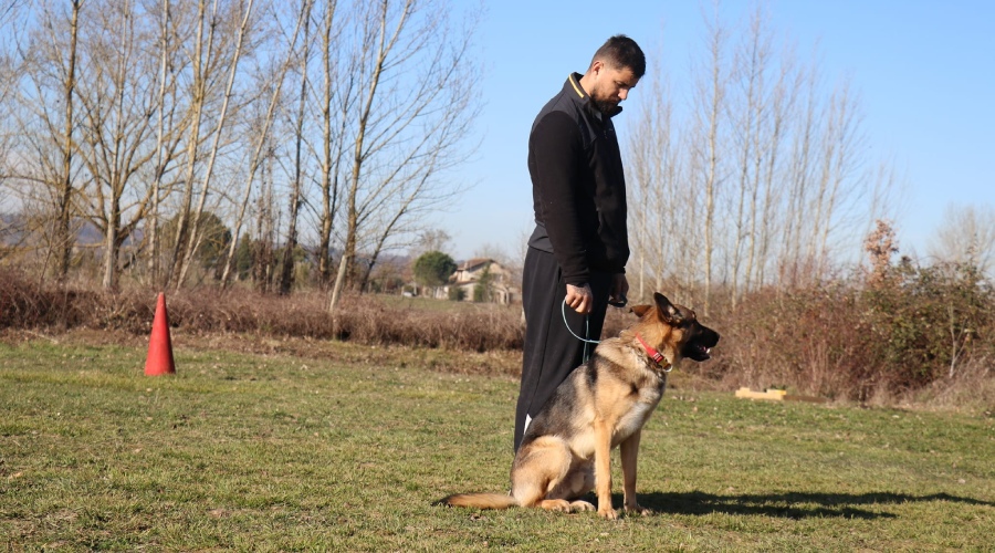 Centre Canin des Plaines Agenaise